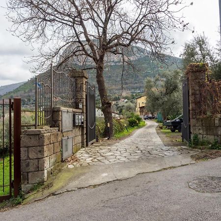 Villino Sally Sorrento Coast Piano di Sorrento Exterior foto